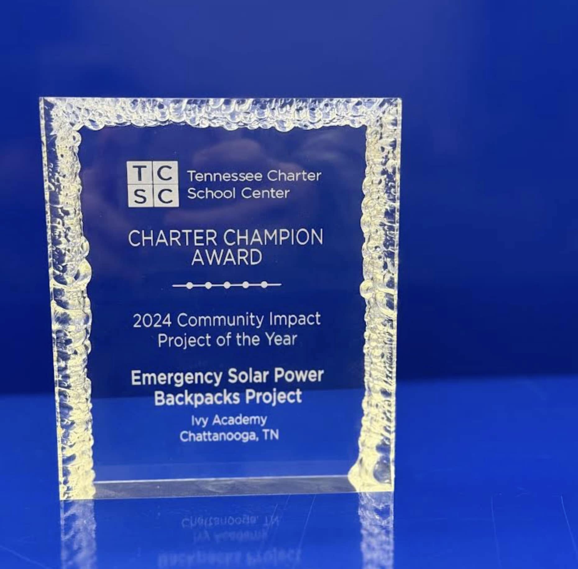 Community Impact Project of the Year for 2024